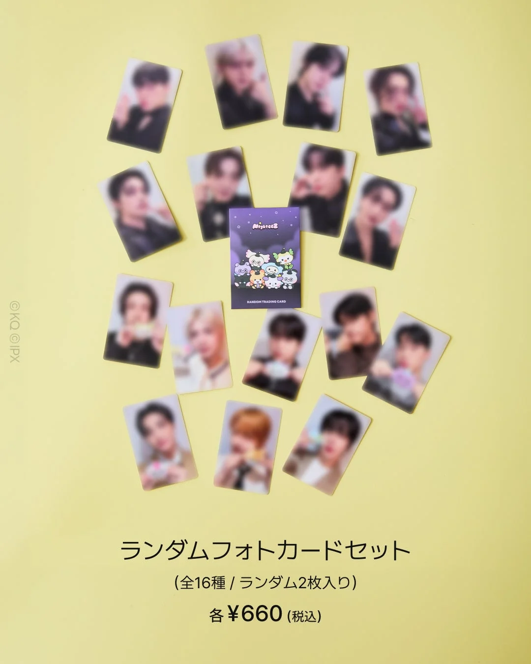 ランダムフォトカードセット